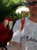 Dating - Serdgy ( Serdgy ) from Baltimore - Cork - Ireland
